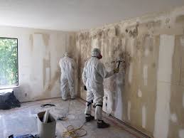 Best Asbestos and Lead Testing During Mold Inspection  in Brookside, NJ